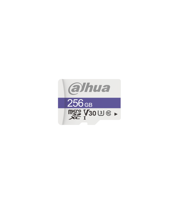 Memoria MicroSD DAHUA TF-C100/256GB