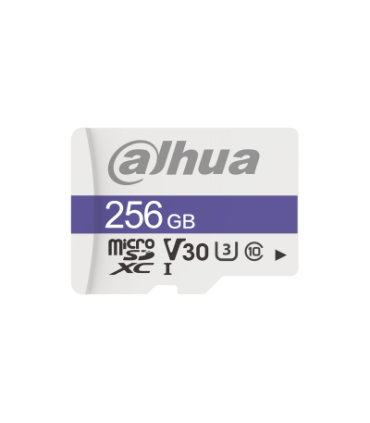 Memoria MicroSD DAHUA TF-C100/256GB